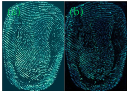 Figure 6. Fingermarks developed on the transparent tape by G-CDs of preserving time. (a) 1 day; (b) 60 days.