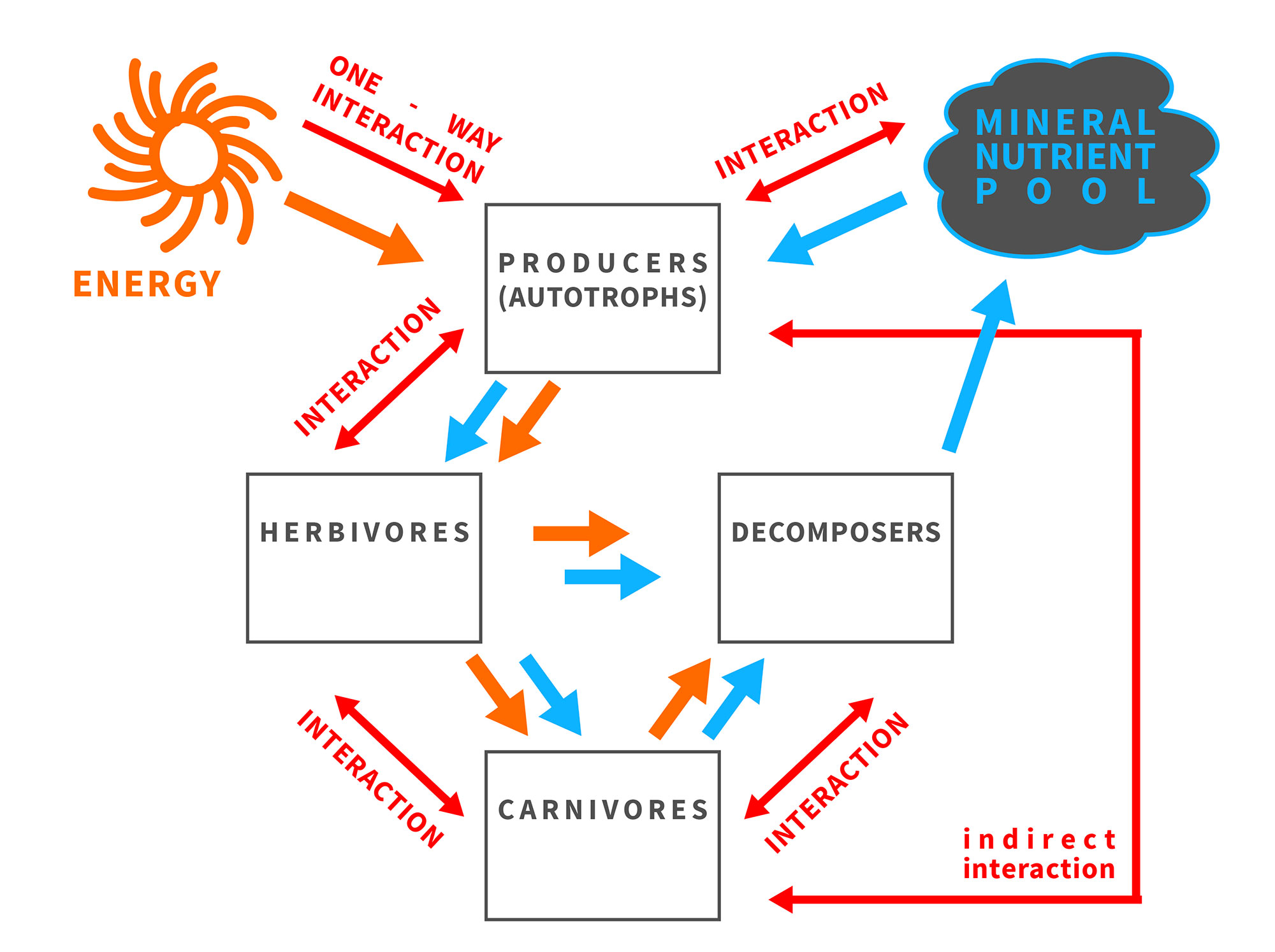 Brief graphical explanation of the framework of ecological stoichiometry