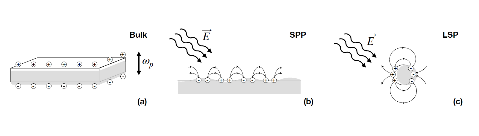 Plasmons  Encyclopedia MDPI