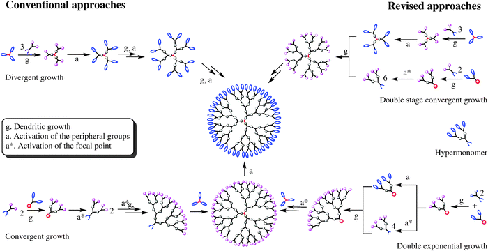 Schematic overview of conventional and revised growth strategies, including growth (g) and activation (a, a*) steps, for the synthesis of dendrimers.