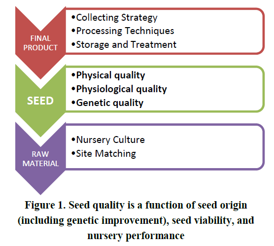 Seed quality is a function of seed origin (including genetic improvement), seed viability, and nursery performance