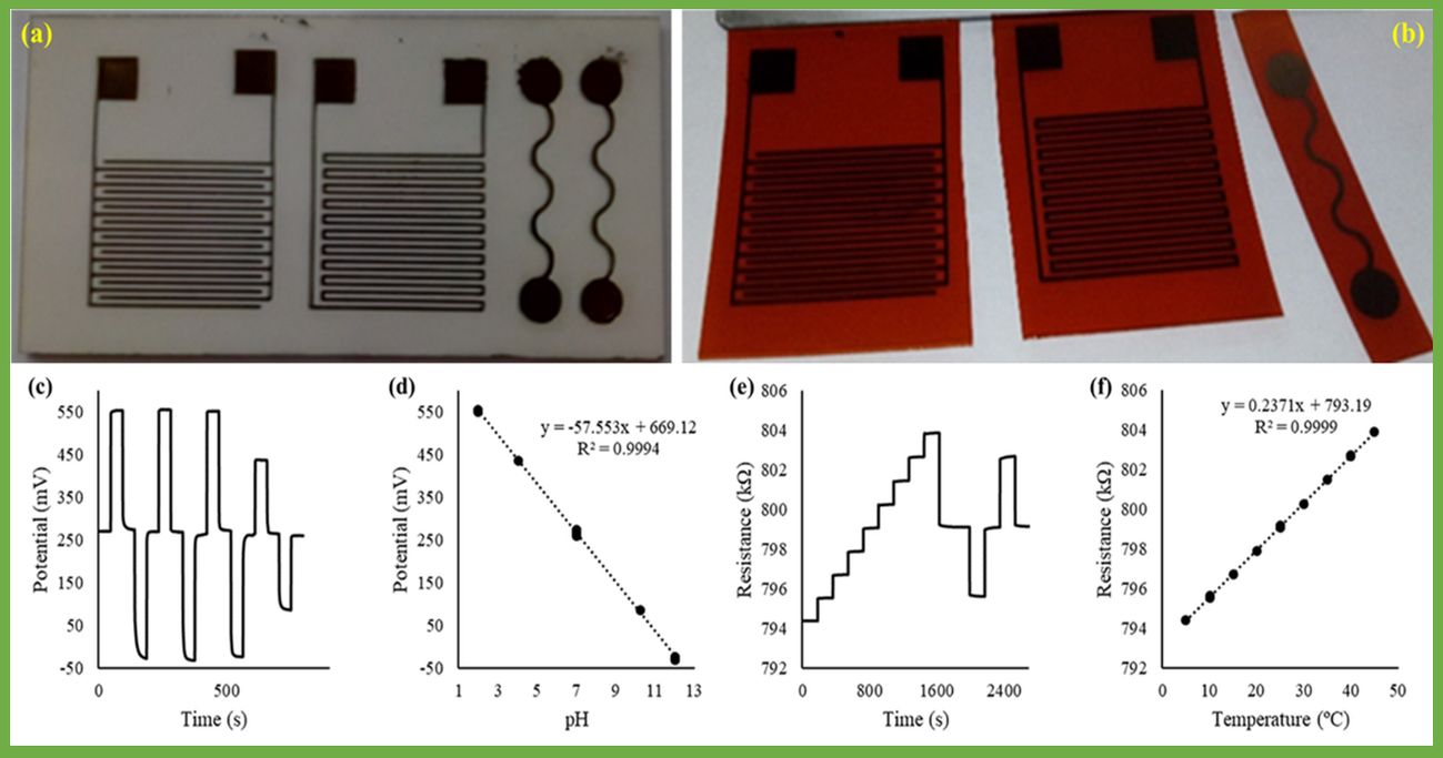 Design, fabrication and performance (testing results) of RuO2 thin-film based electrodes 