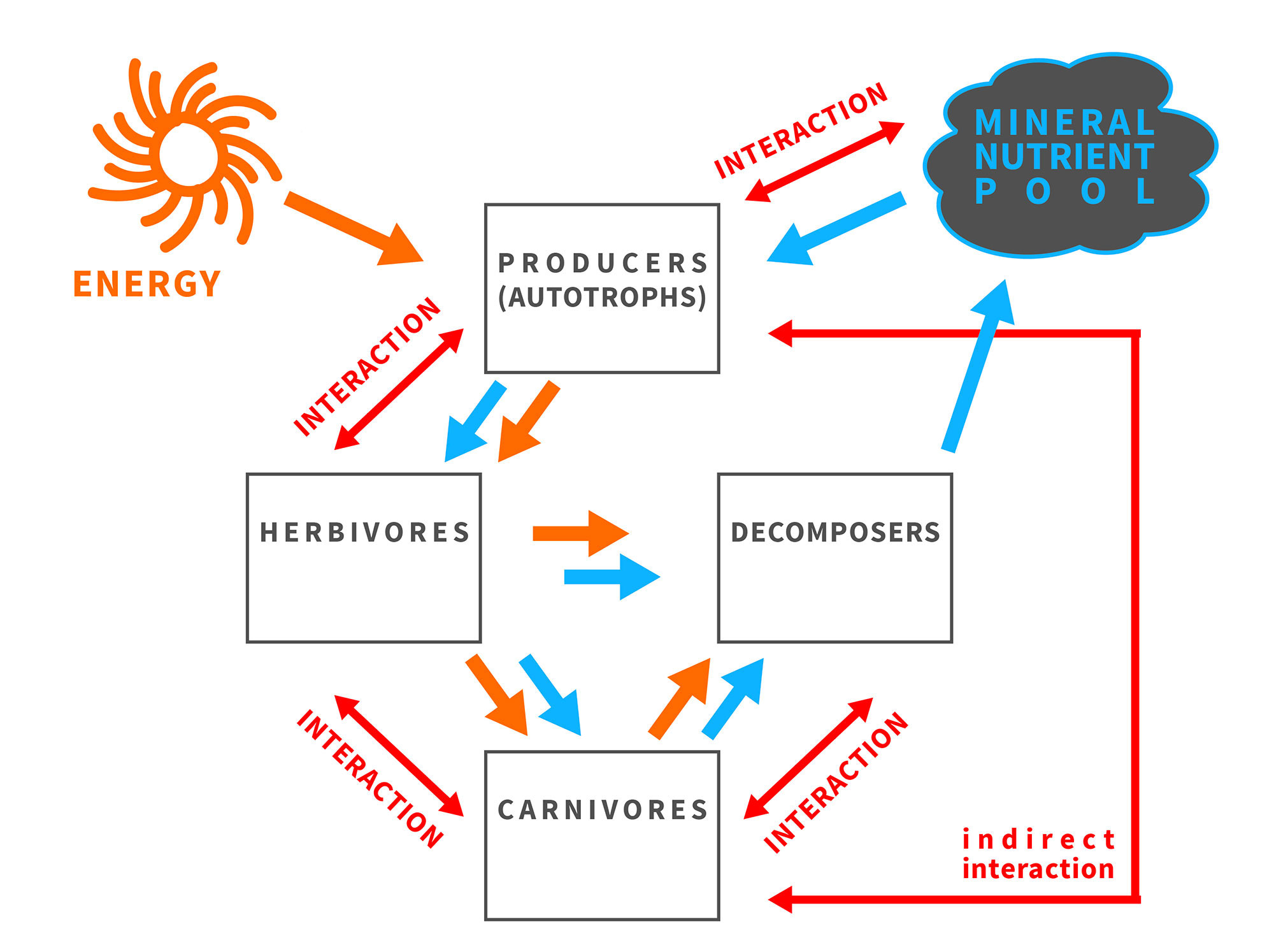 Brief graphical explanation of the framework of ecological stoichiometry